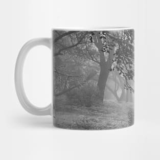 Foggy morning Mug